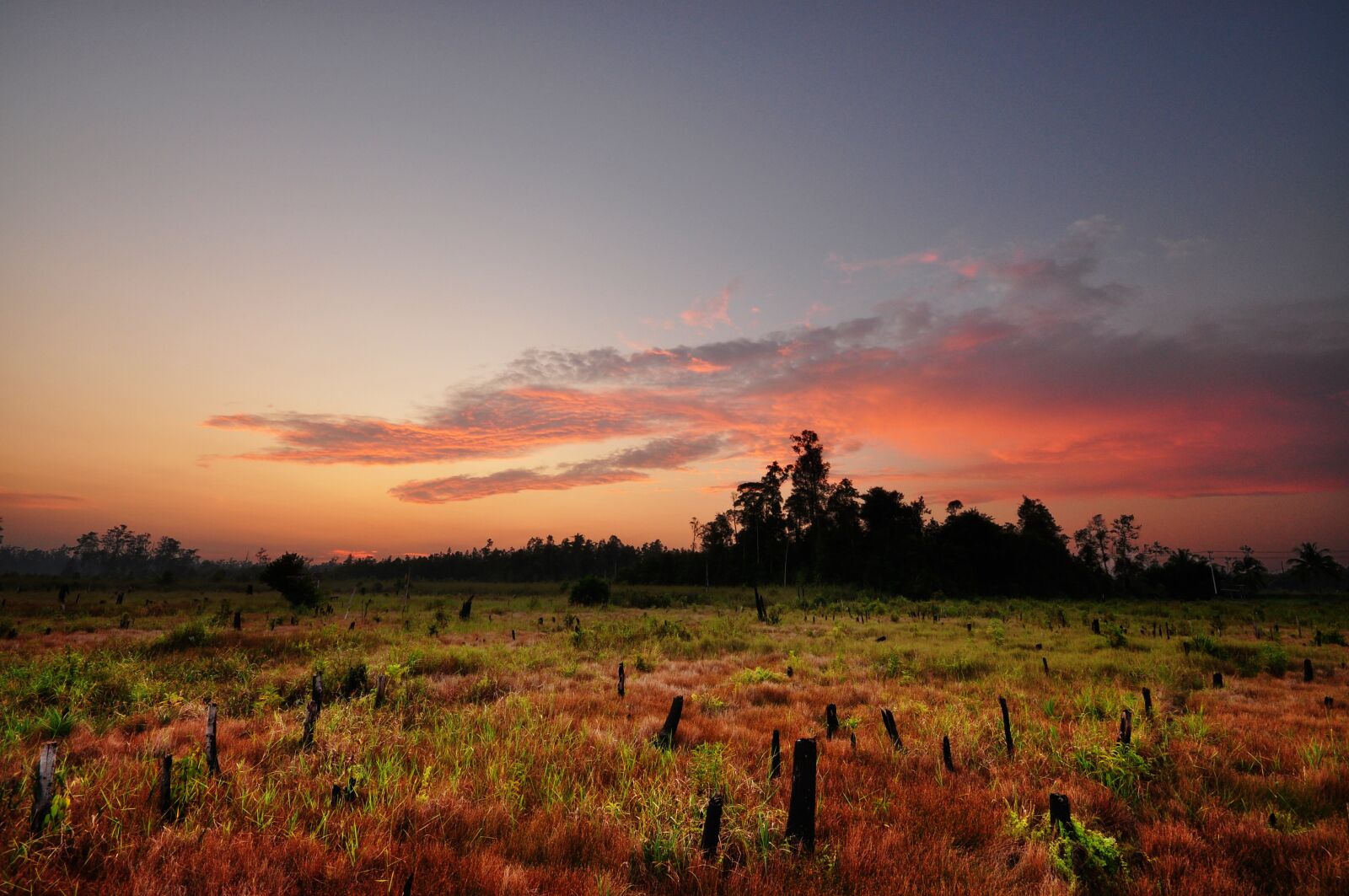 Nikon D90 sample photo. Buntok, kalimantan, indonesia photography