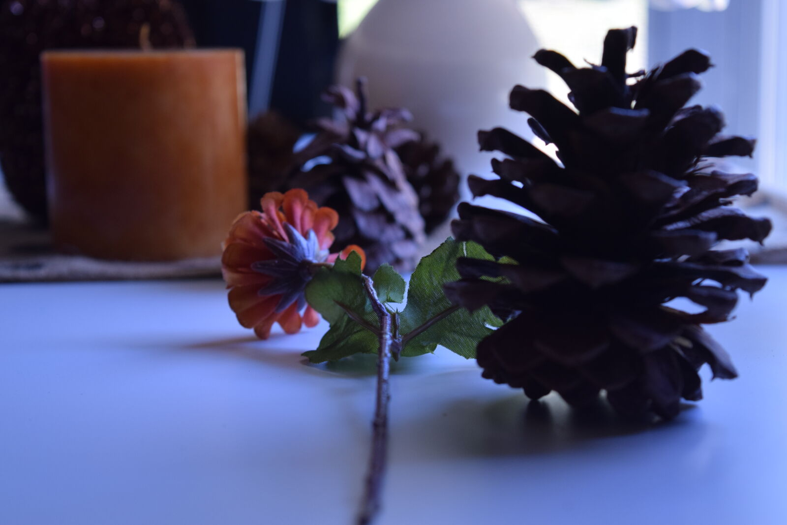 Nikon D3300 sample photo. Candles, fall, flowers, leaves photography