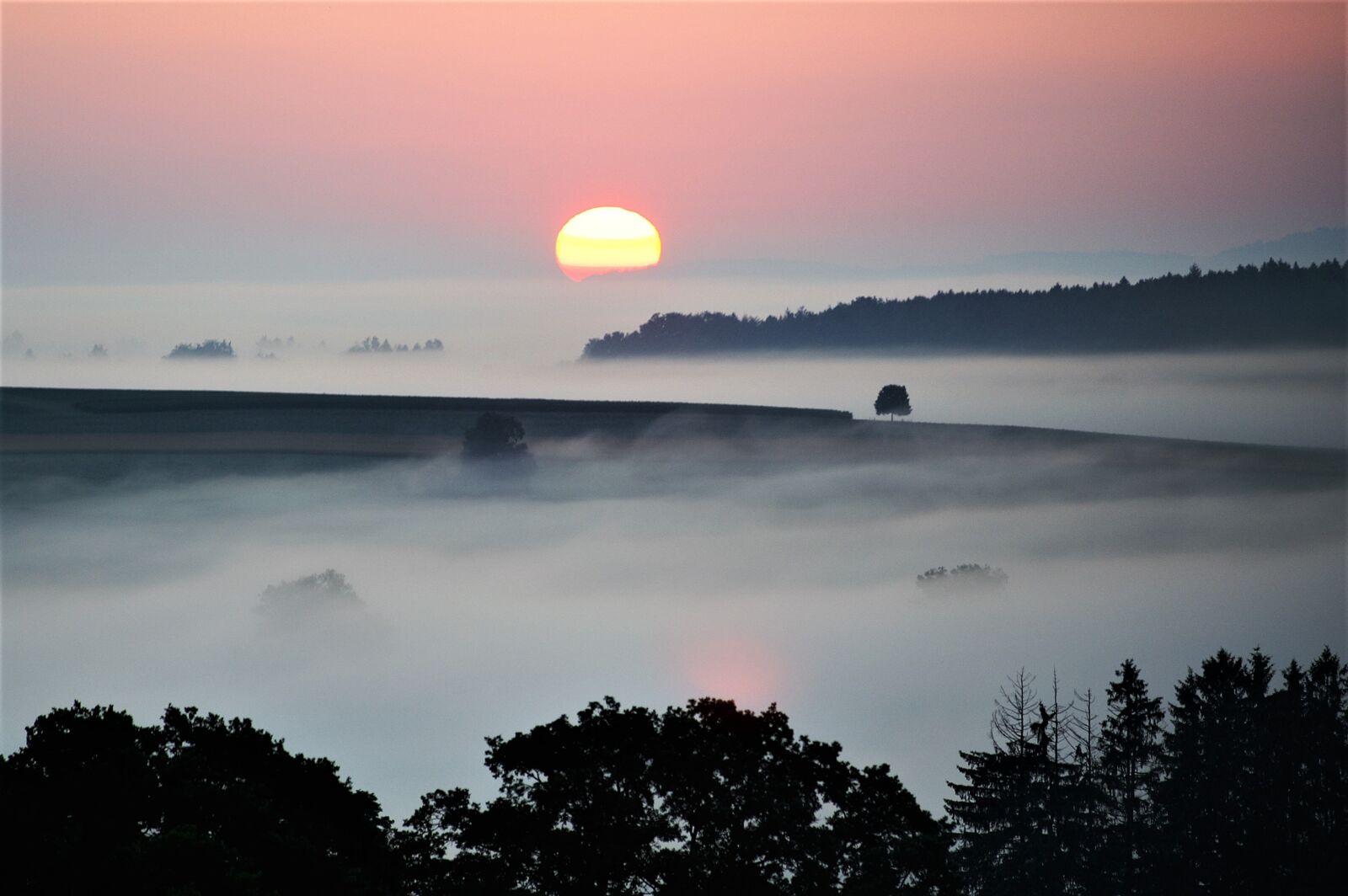 KONICA MINOLTA DYNAX 7D sample photo. Fog, landscape, dusk photography