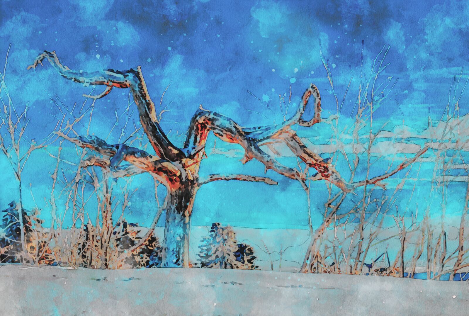 Fujifilm X-T10 sample photo. Tree, wintry, snow photography