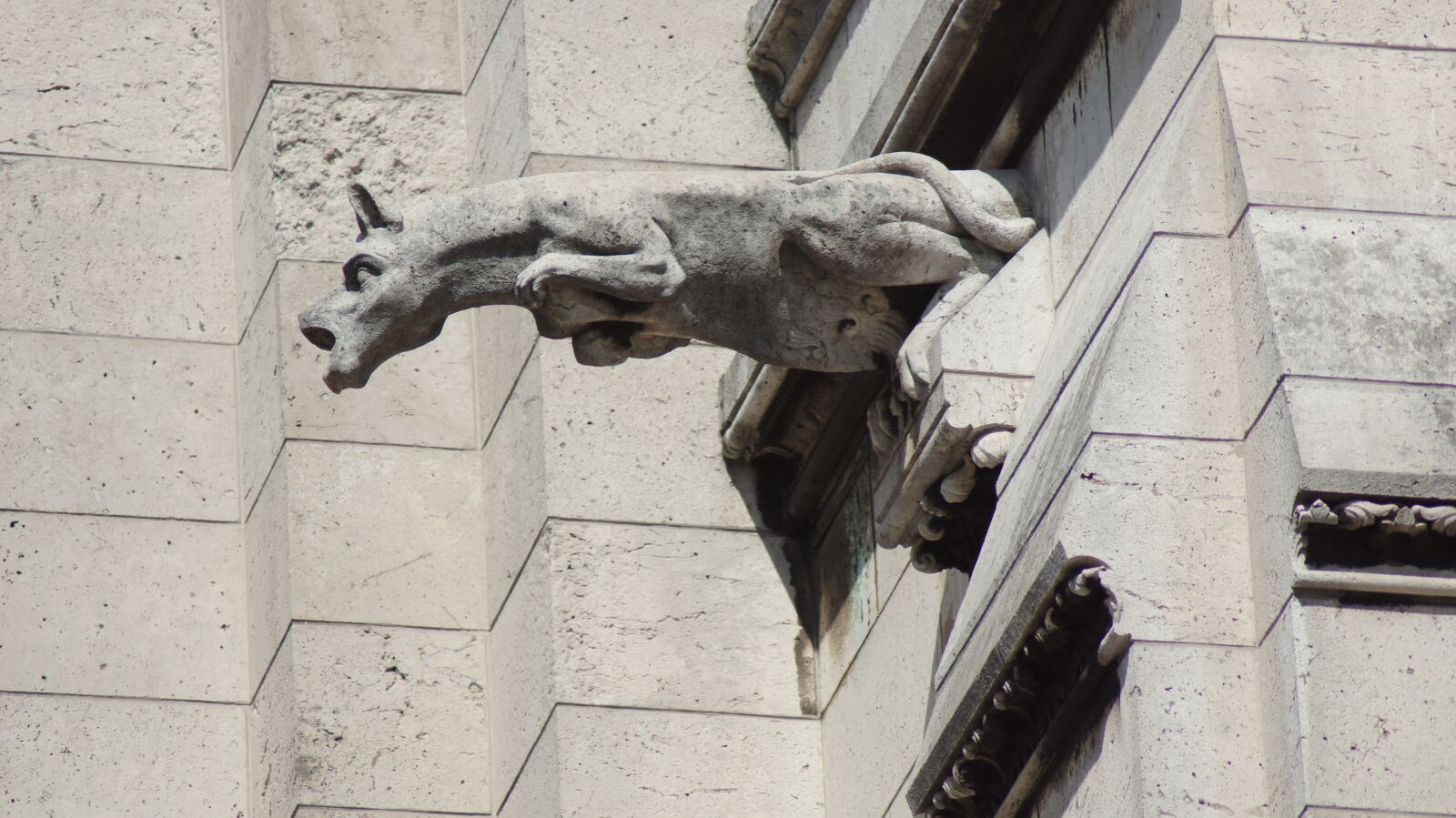 Sony SLT-A55 (SLT-A55V) sample photo. Gargoyle, dom, paris photography