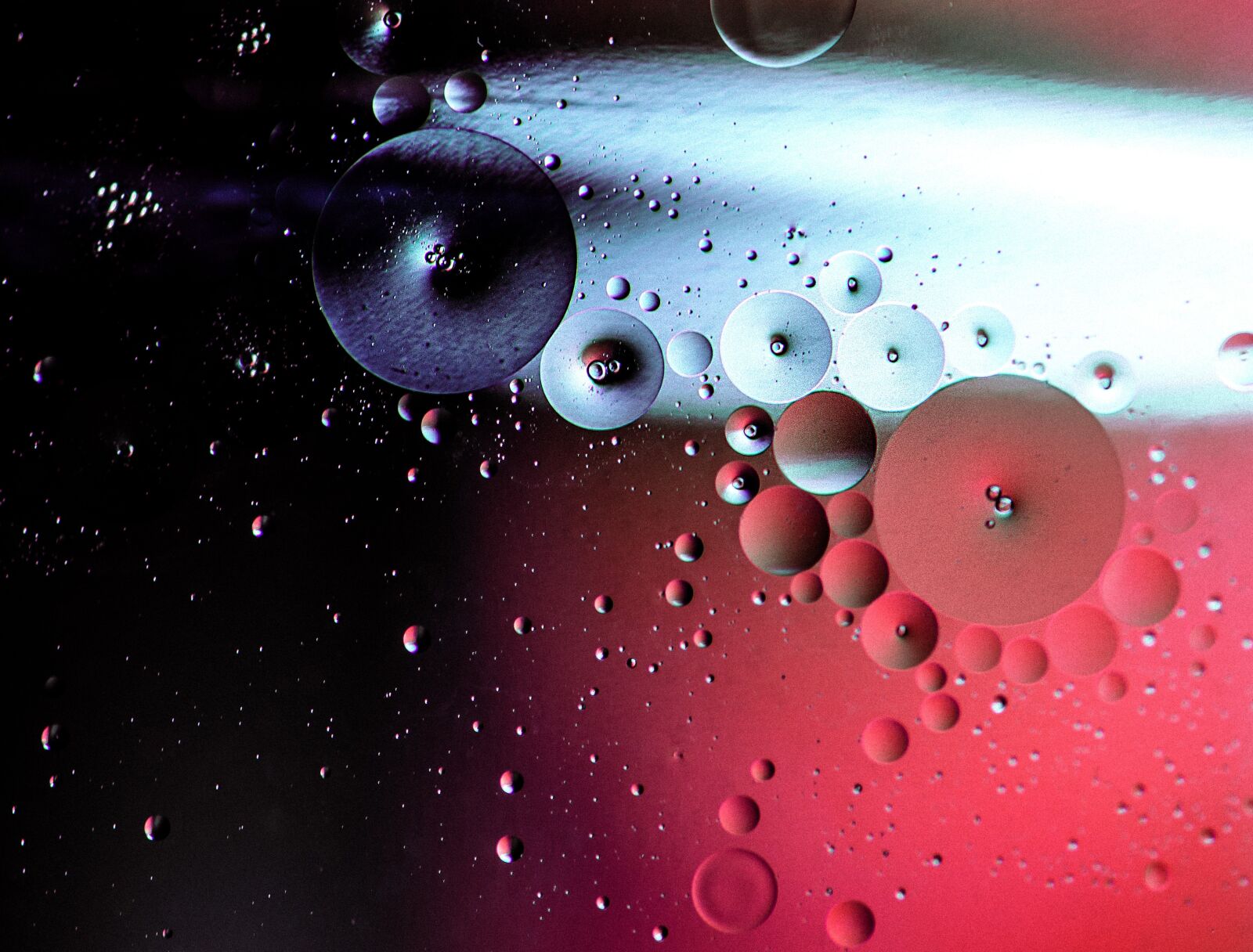 Nikon D5100 sample photo. Drops, close-up, macro photography