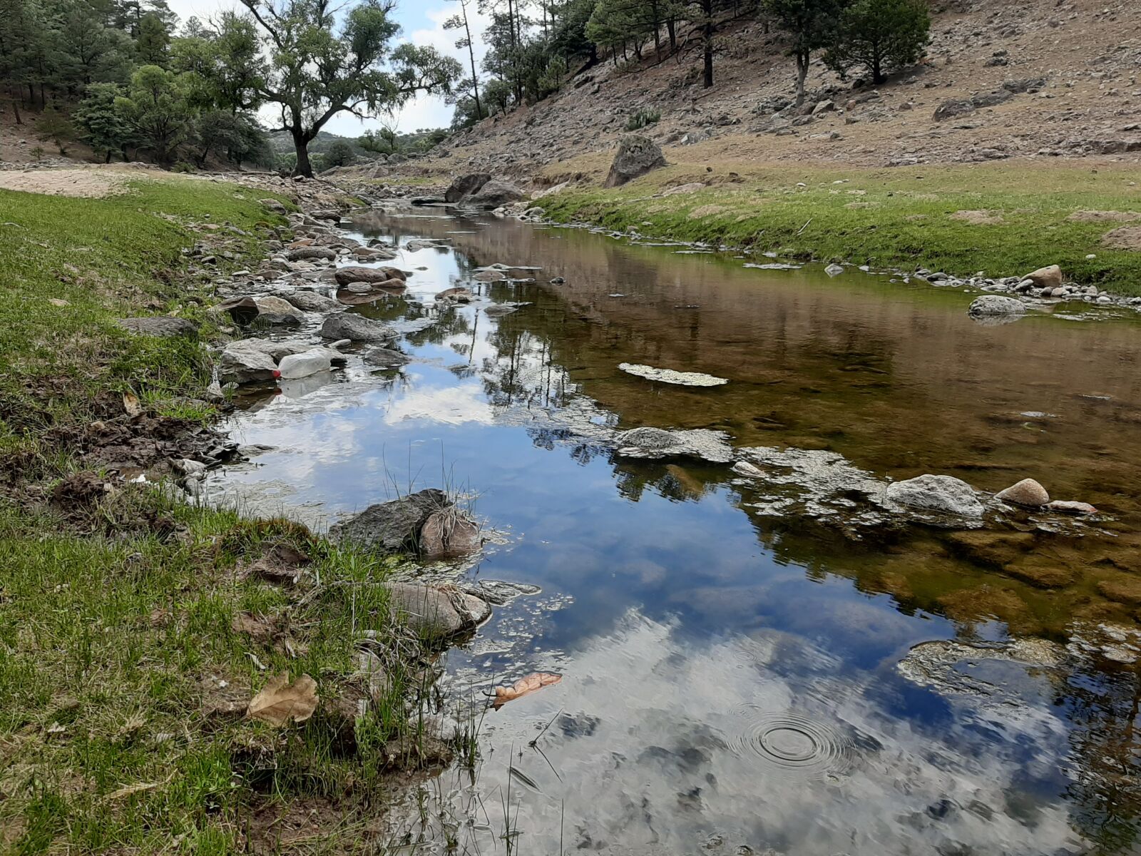 Samsung Galaxy A50 sample photo. River, water, brook photography