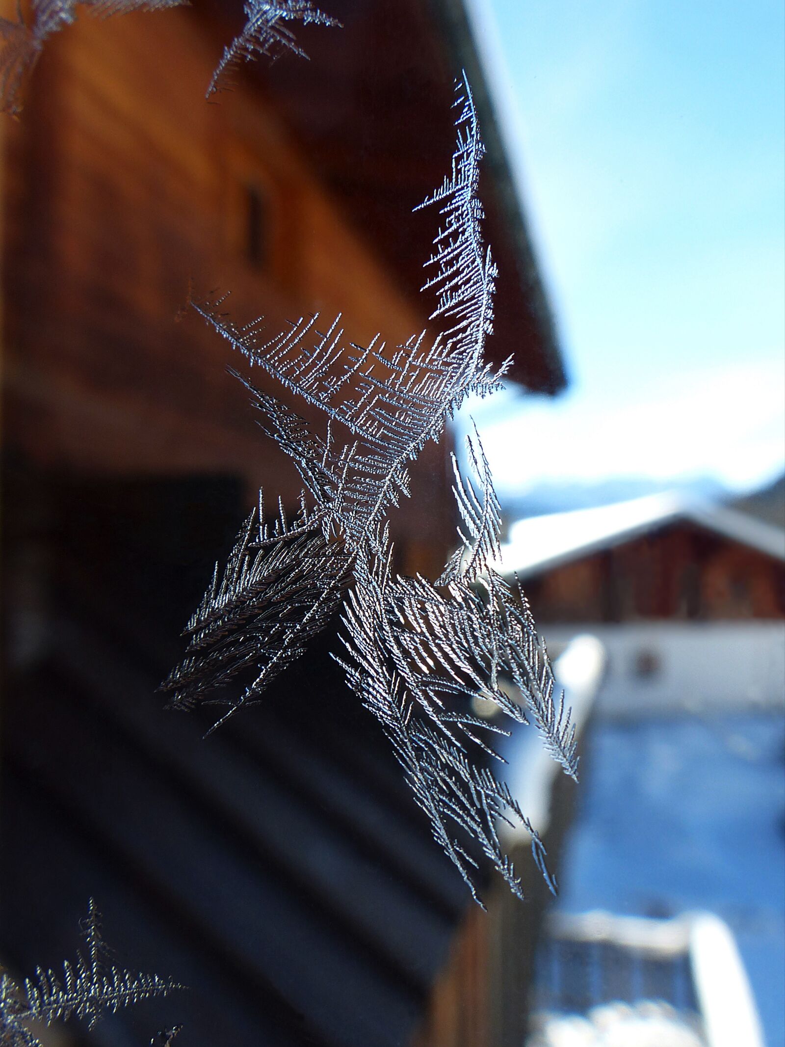 Panasonic Lumix DMC-FZ200 sample photo. Frost, crystal, ice photography