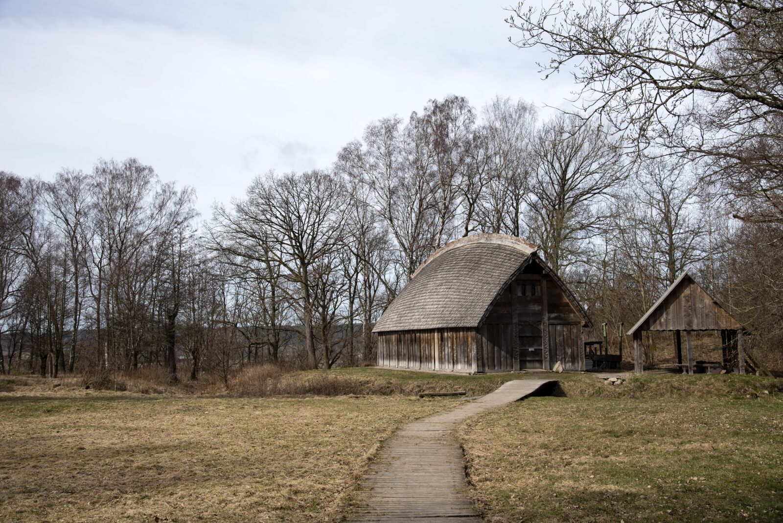 Nikon D750 sample photo. Vikingagård, story, sweden photography