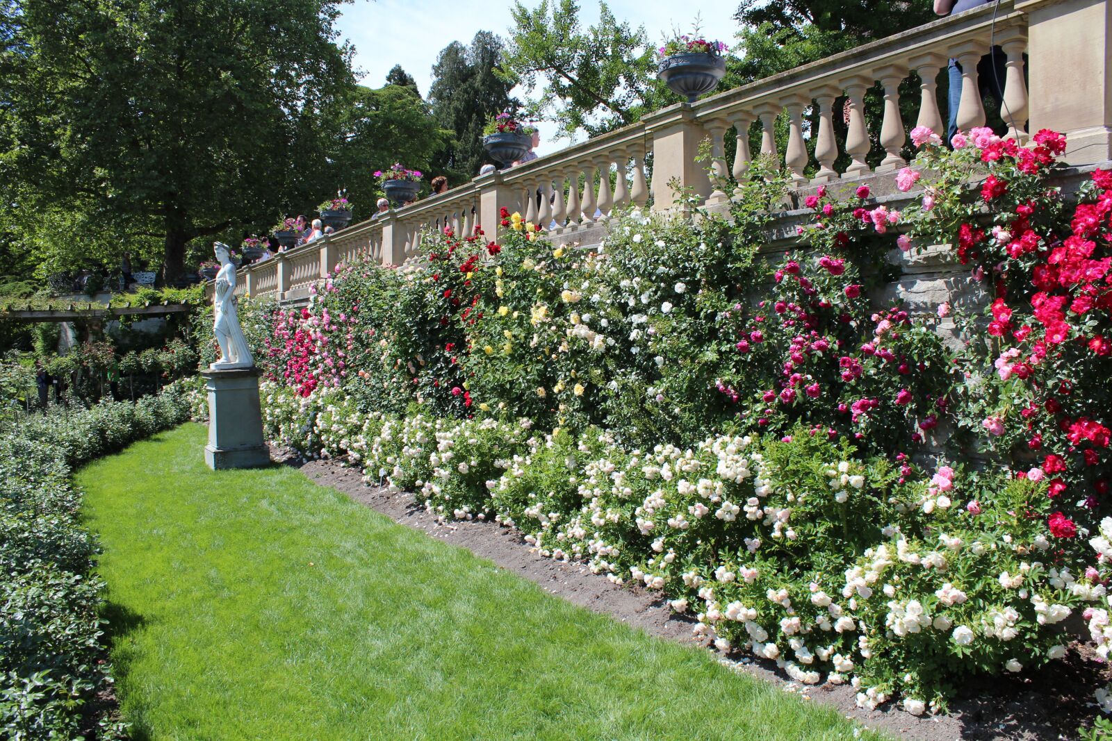 Canon EOS 600D (Rebel EOS T3i / EOS Kiss X5) sample photo. Flowers, beautiful, fence photography
