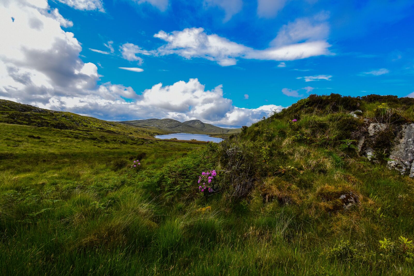 Nikon D7200 sample photo. Ireland, landscape, national park photography
