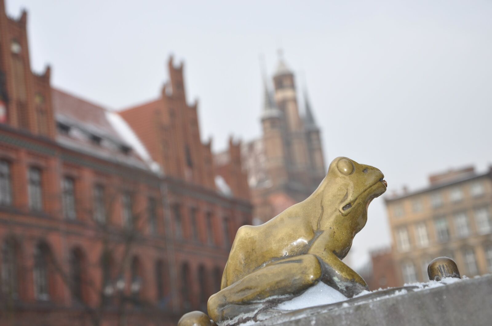 Nikon D90 sample photo. Frog, copper, figurine photography