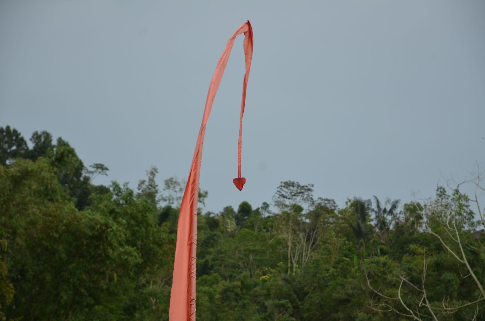 Nikon D7000 sample photo. Flag, bali, love photography