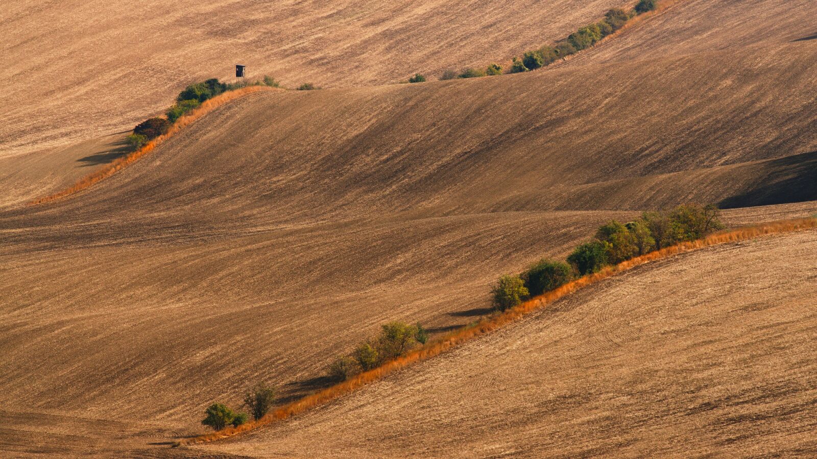 Sony ILCA-77M2 + Minolta AF 200mm F2.8 HS-APO G sample photo. Landscape, summer, bryony photography