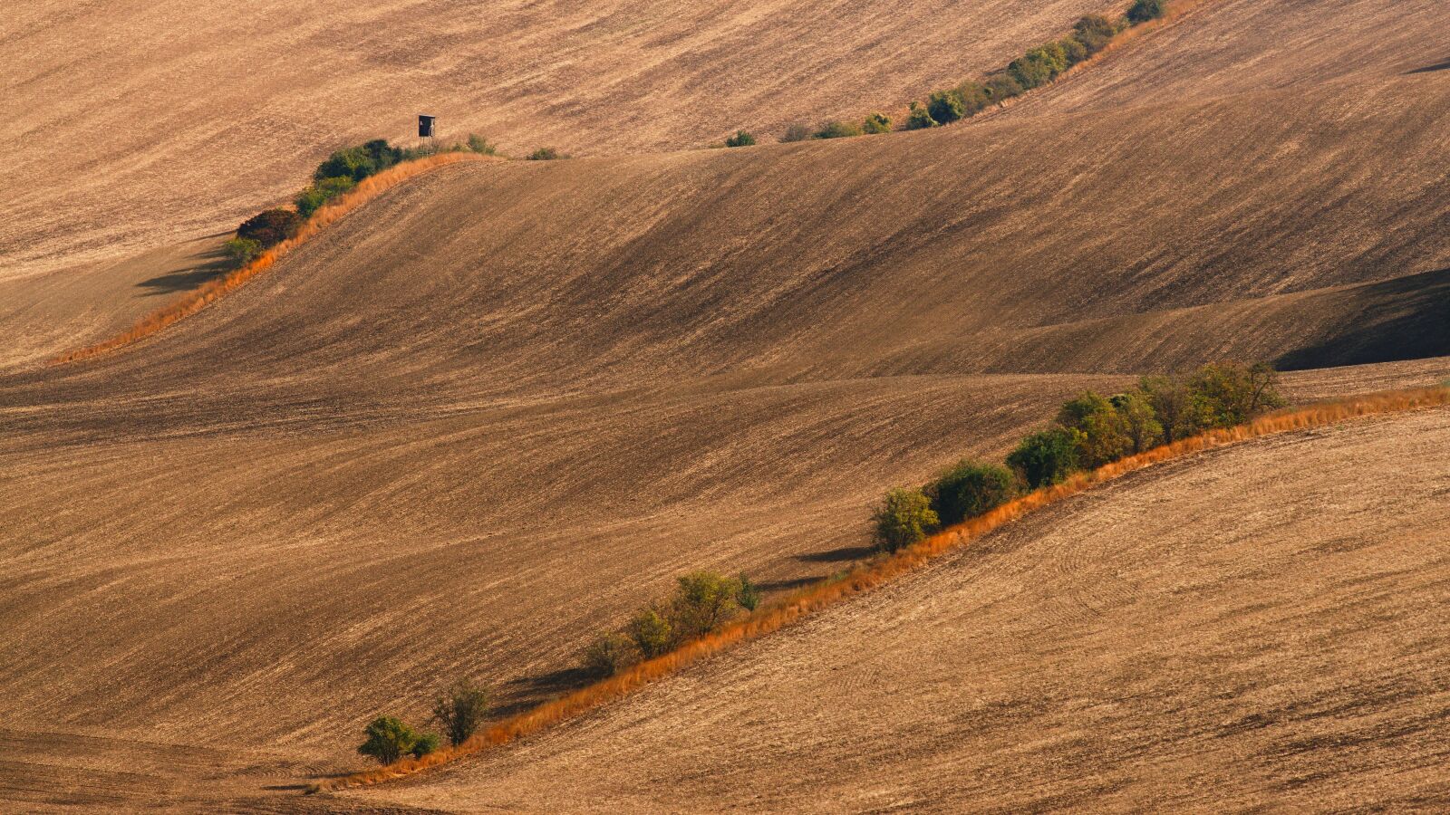 Minolta AF 200mm F2.8 HS-APO G sample photo. Landscape, summer, bryony photography