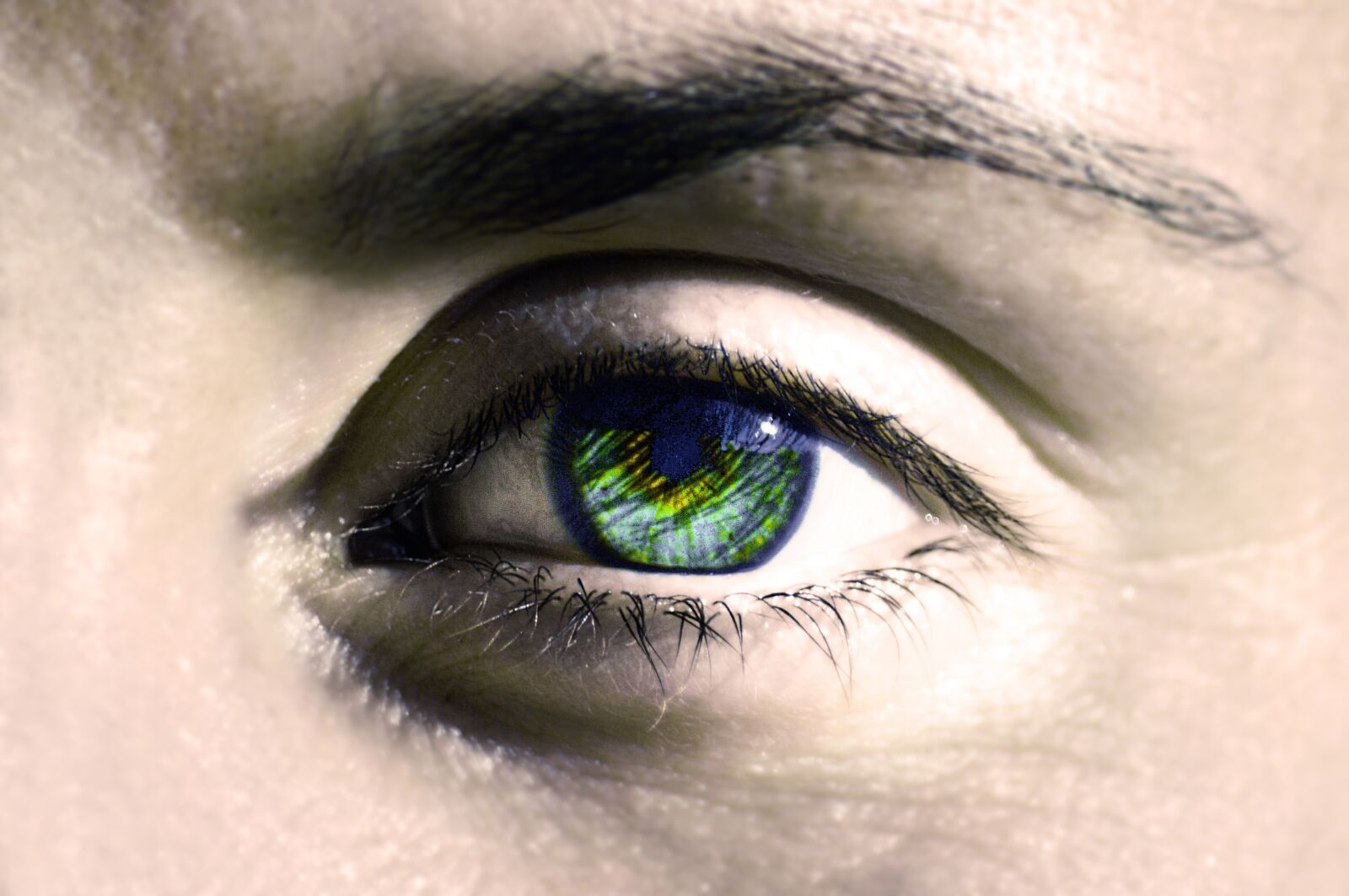 Nikon D3200 sample photo. Human, eye, close up photography