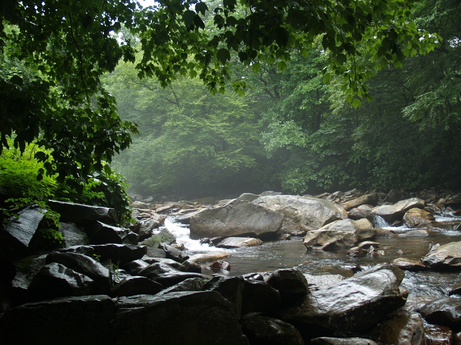 Olympus E-500 (EVOLT E-500) sample photo. Gatlinburg, tennessee, landscape photography