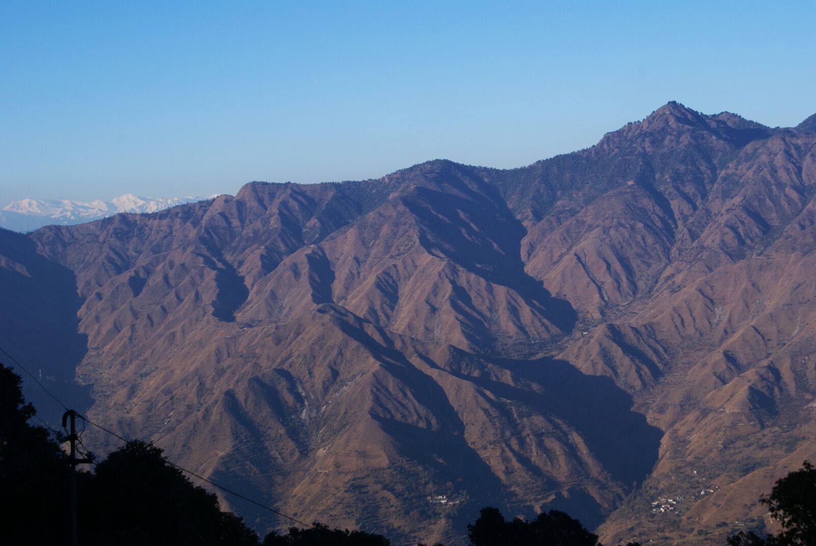 Sony Alpha DSLR-A100 sample photo. Background, nature, places photography