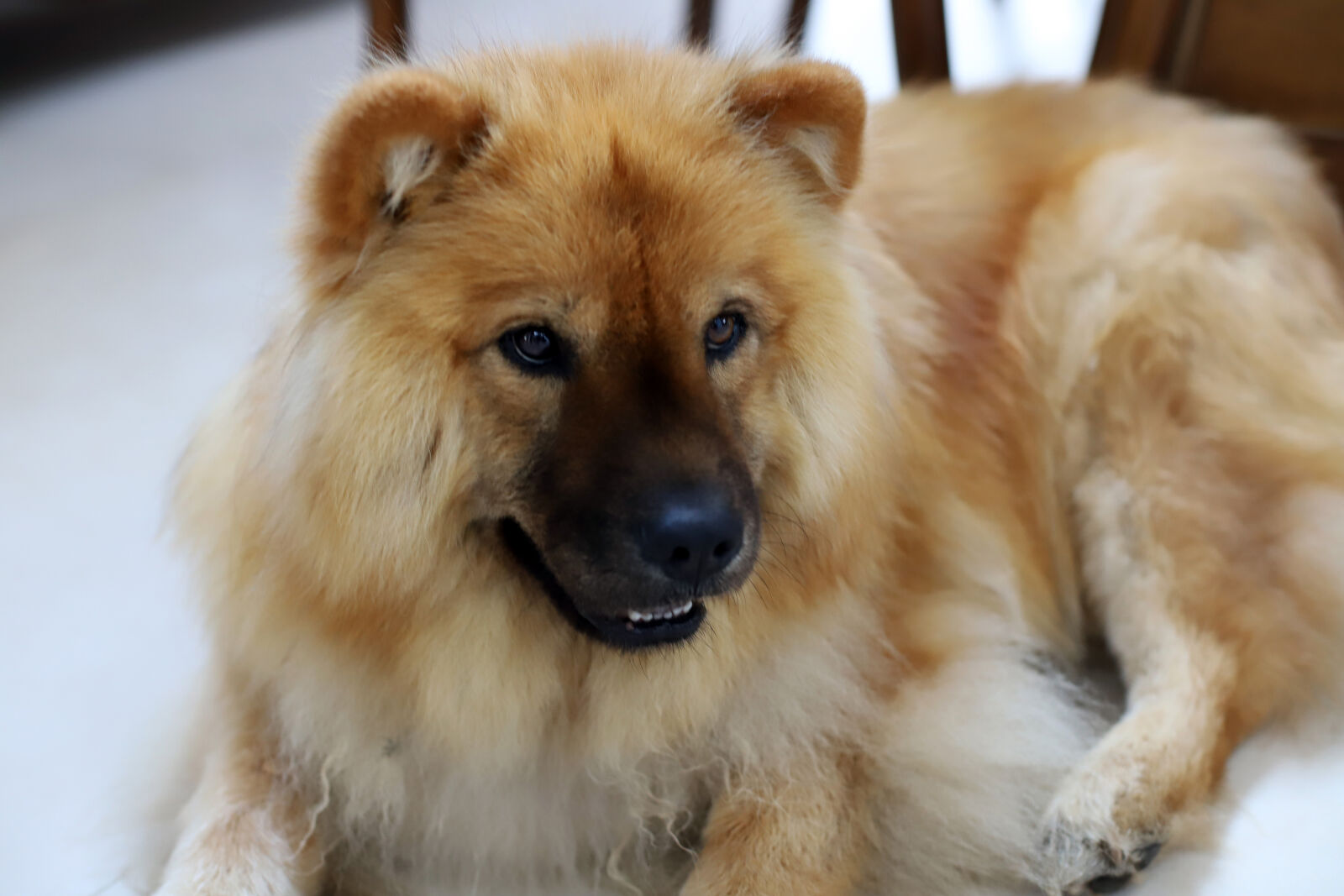 Canon EF 50mm F1.4 USM sample photo