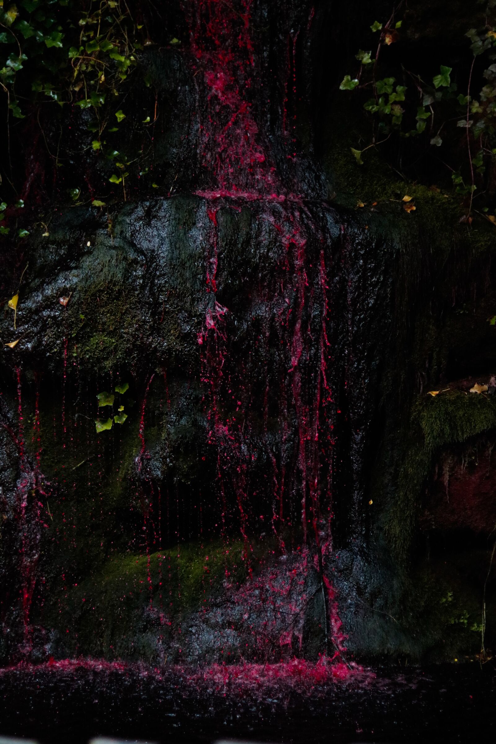 Canon EOS 750D (EOS Rebel T6i / EOS Kiss X8i) sample photo. Blood, vampire, waterfall photography