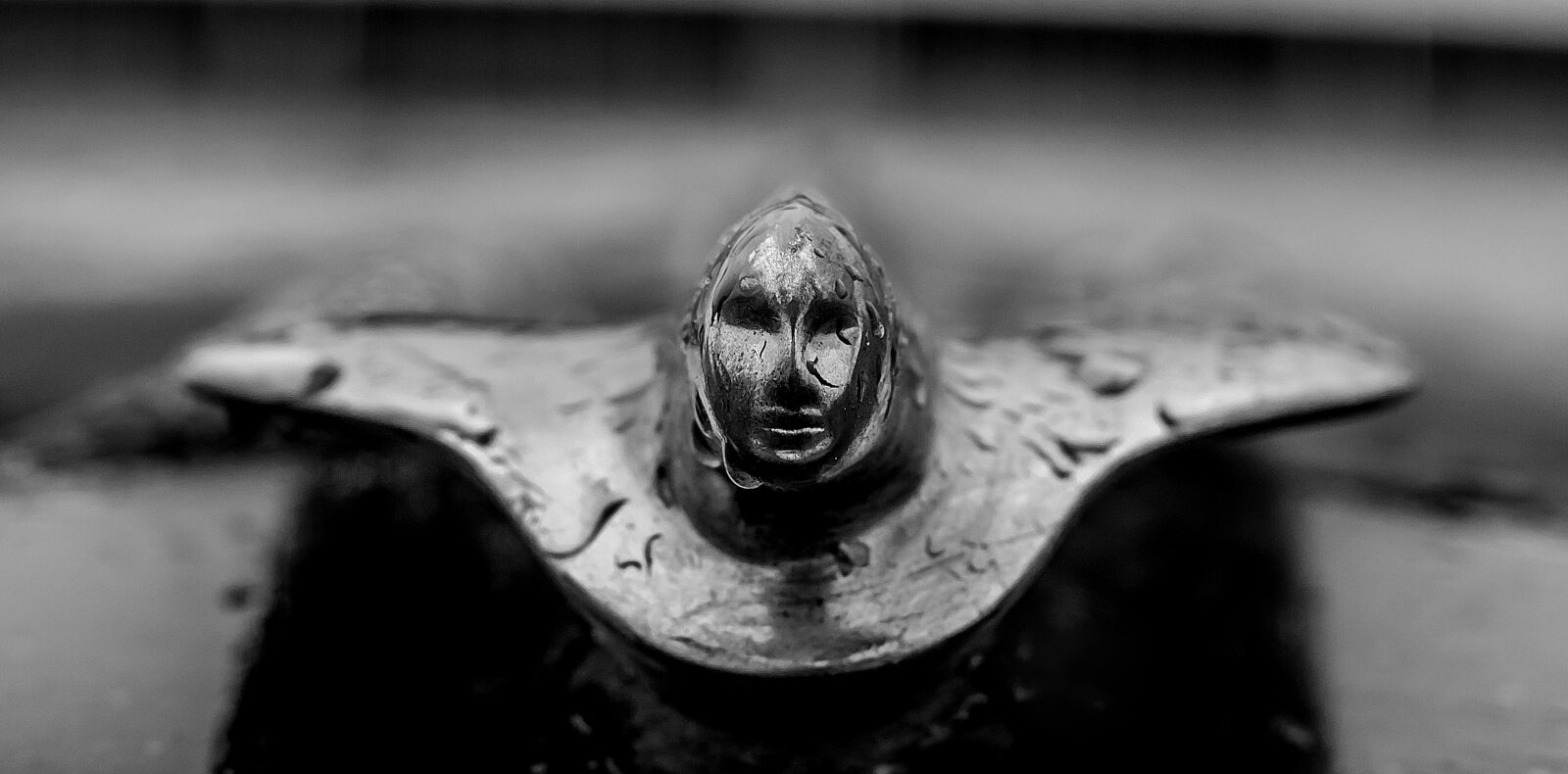 Nikon D7000 sample photo. Black, white, car badge photography
