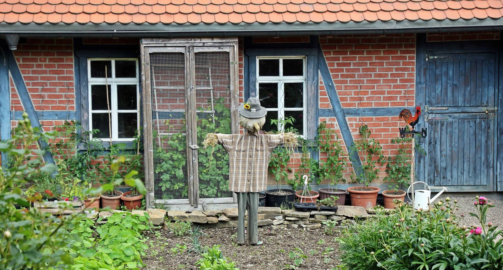 Canon EOS 550D (EOS Rebel T2i / EOS Kiss X4) sample photo. Scarecrow, backyard, architecture, window photography