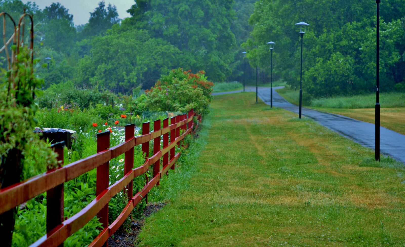 Nikon D7000 sample photo. Fence, forest, natur photography