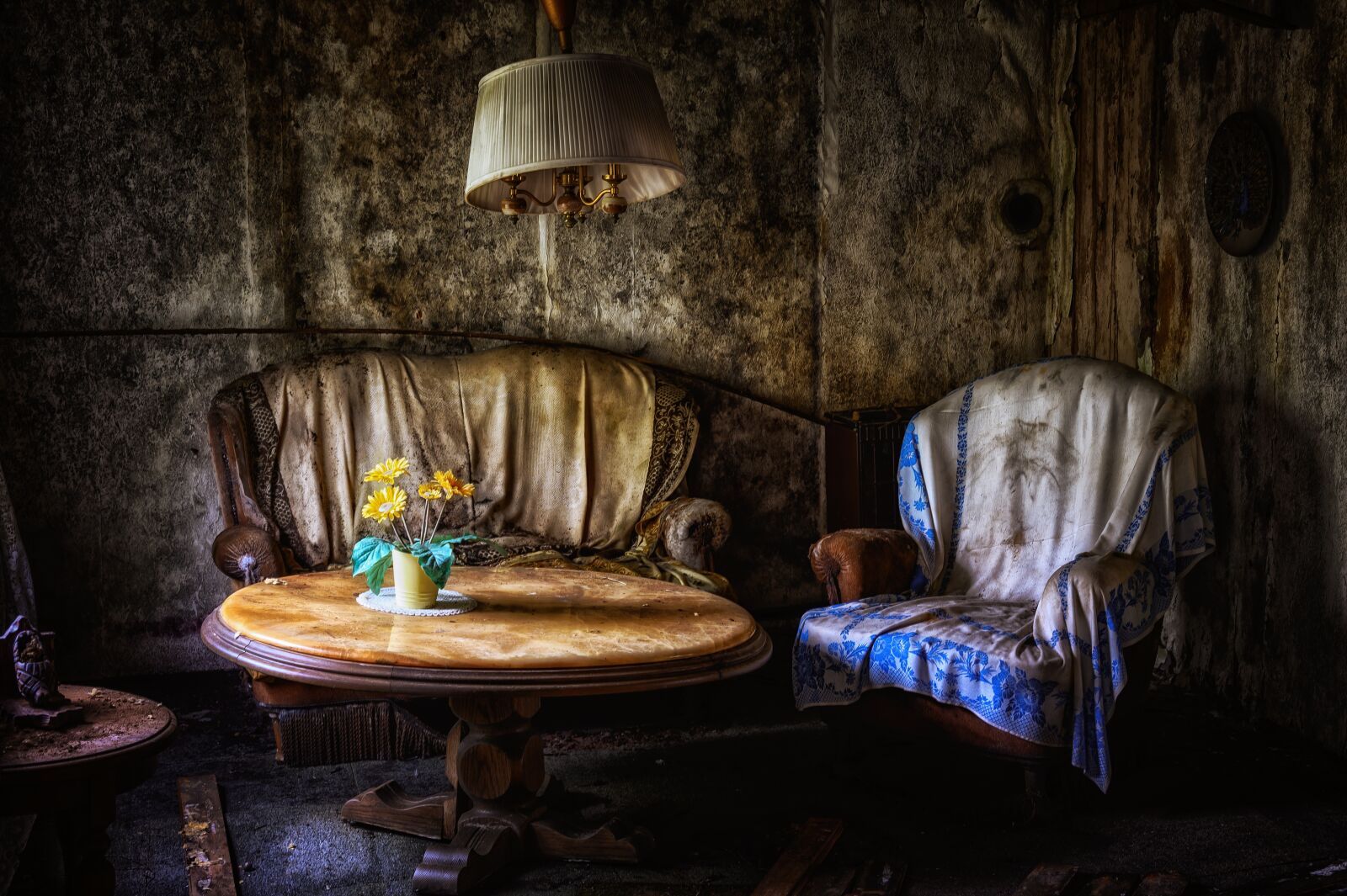 Nikon Z6 sample photo. Living room, room, chair photography