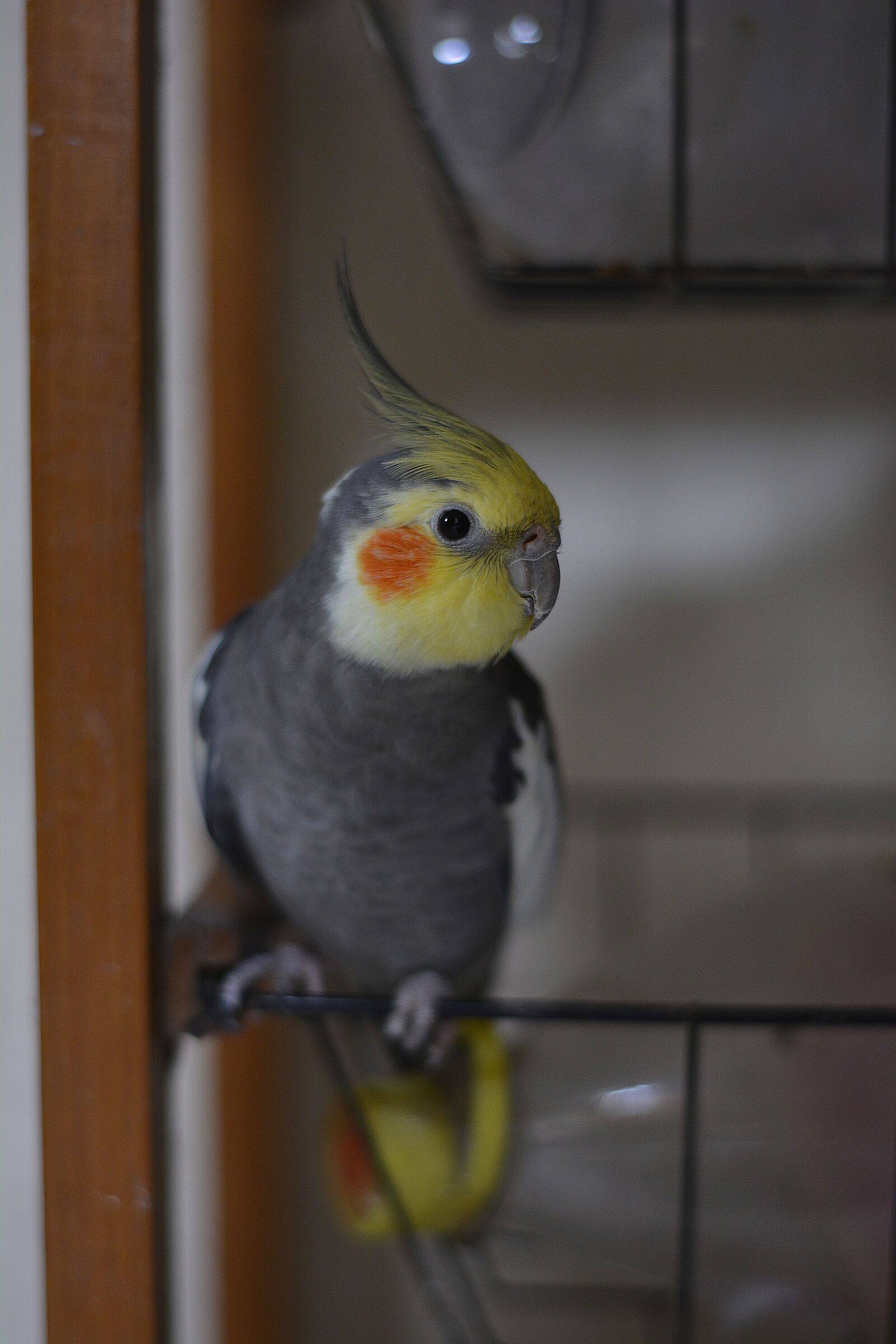 Nikon D5200 sample photo