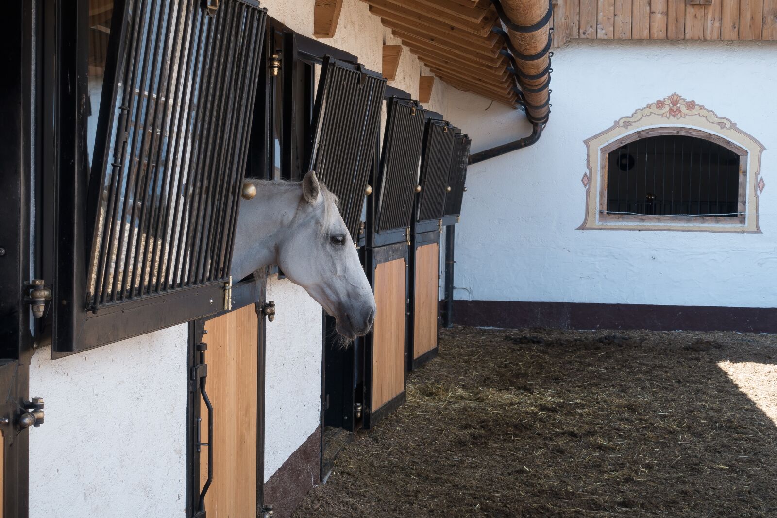 Sony Cyber-shot DSC-RX100 III sample photo. Stud, reiterhof, lipizzaner photography