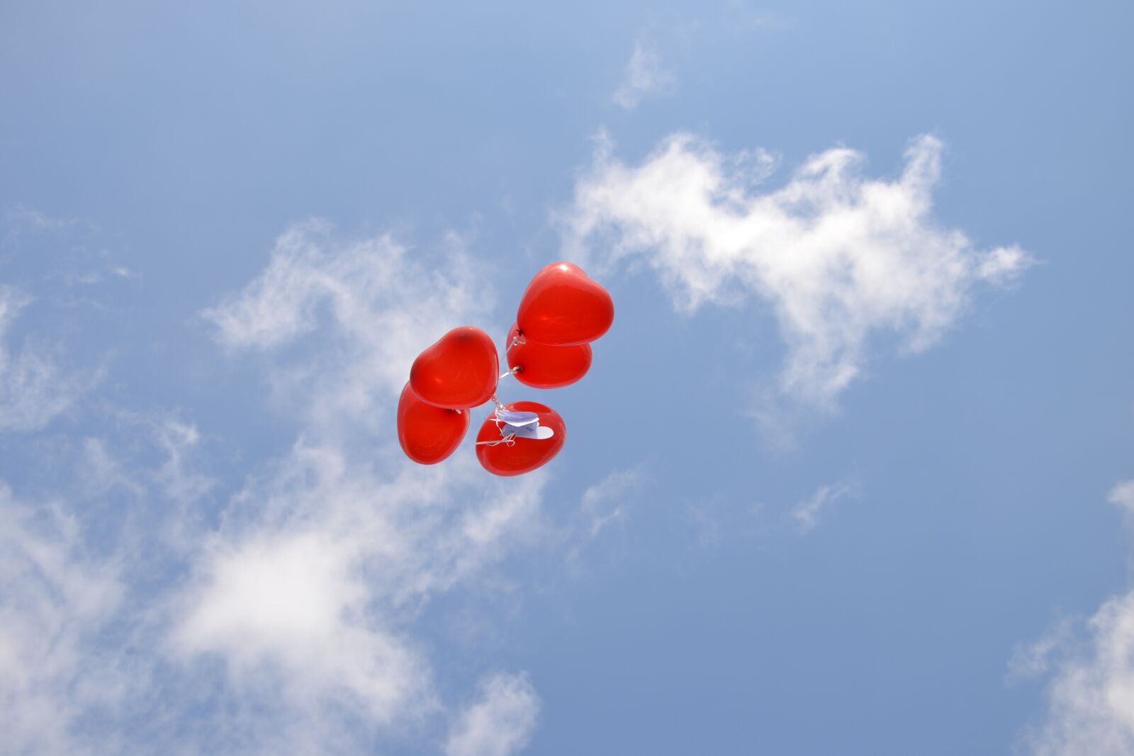 Nikon D3100 sample photo. Blue sky, red balloons photography
