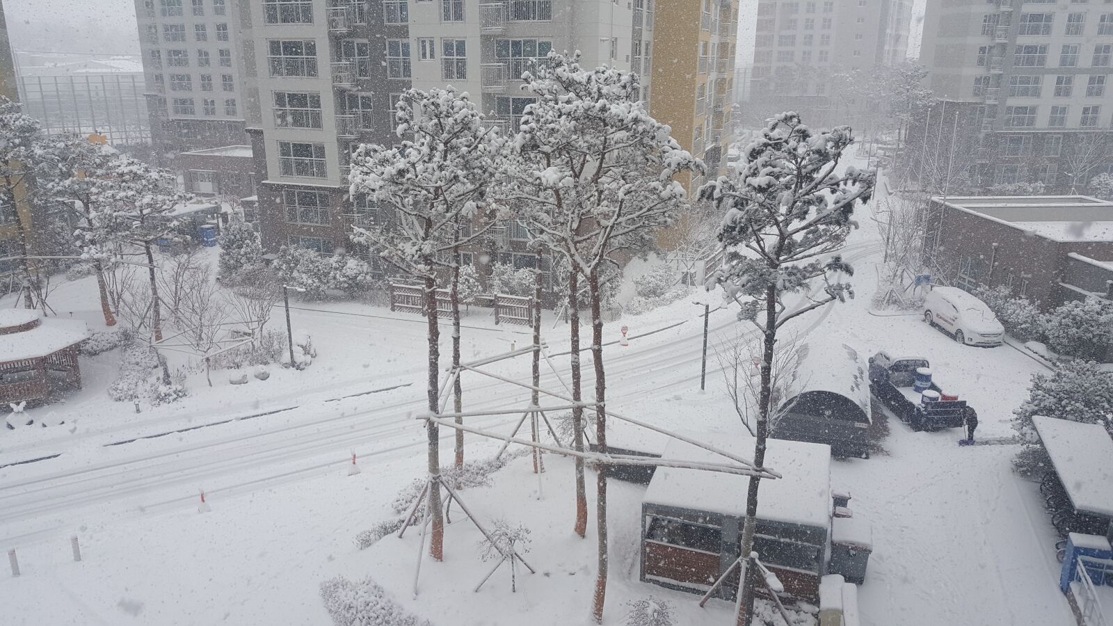 Samsung Galaxy Note5 sample photo. Snow, apt, tree photography