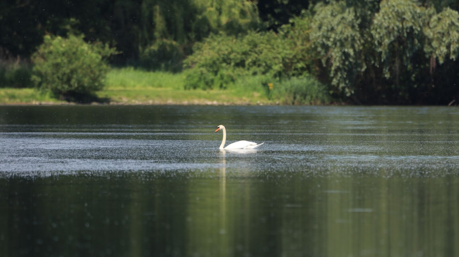 150-600mm F5-6.3 DG OS HSM | Contemporary 015 sample photo. Lake, landscape, scenic photography