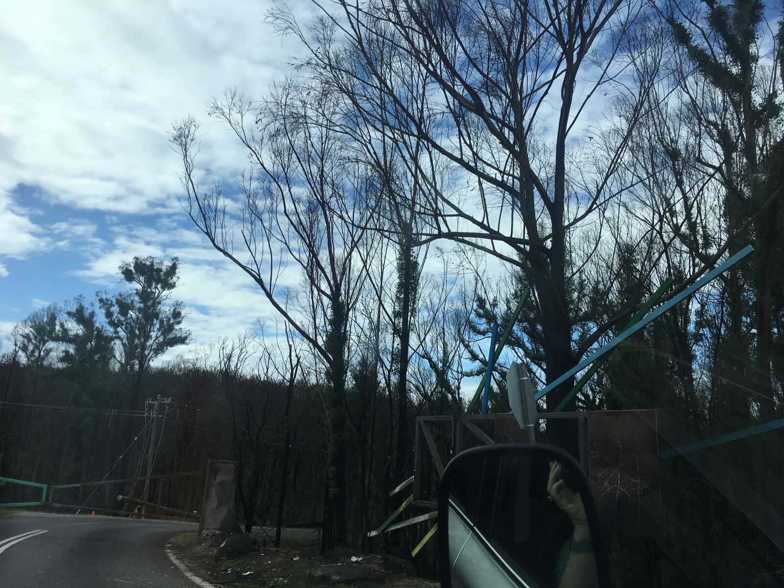 iPhone 6s back camera 4.15mm f/2.2 sample photo. Bushfire, bateman's bay, burnt photography