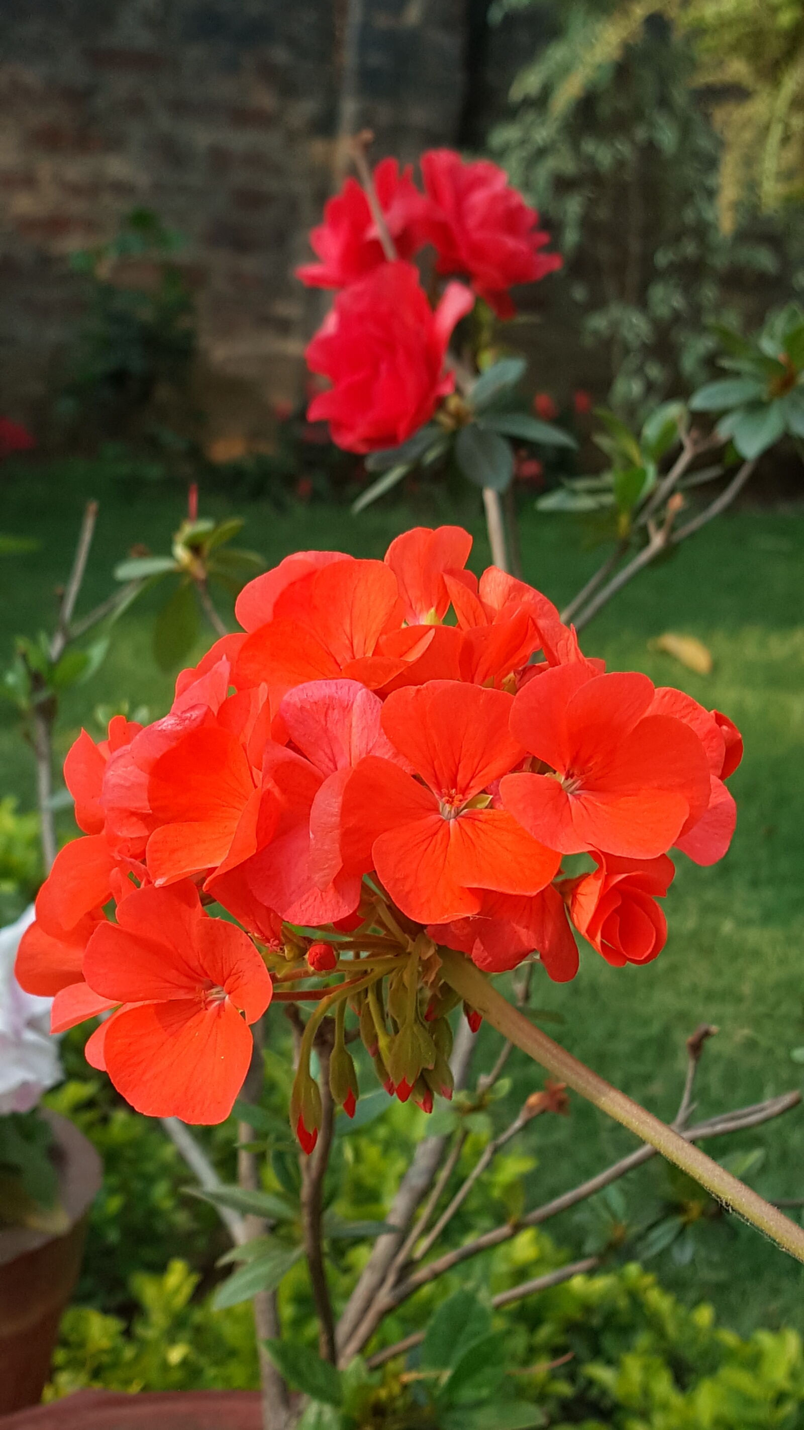 Samsung Galaxy Note5 sample photo