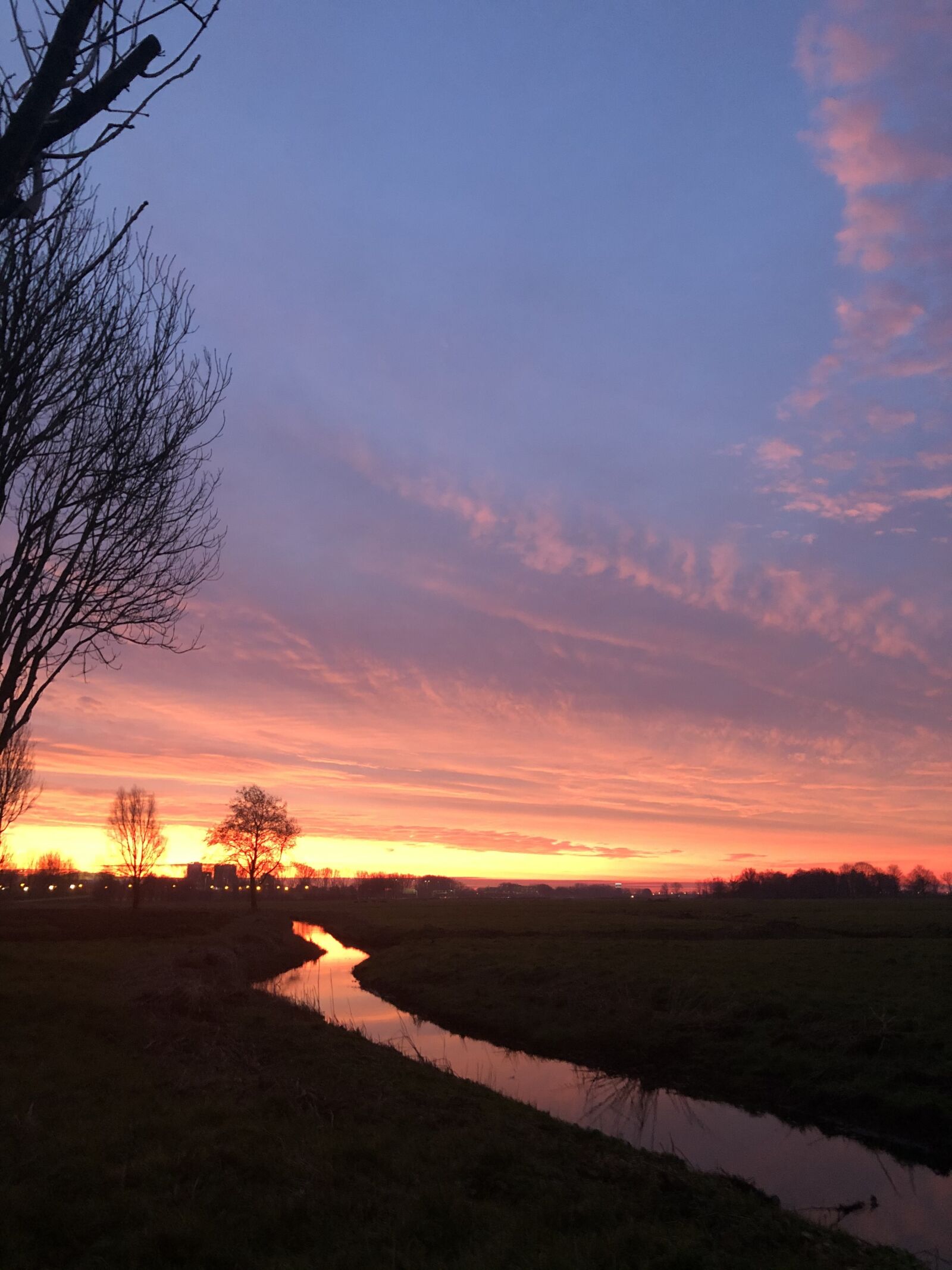 iPhone 8 back camera 3.99mm f/1.8 sample photo. Amsterdam, ditches, morning sun photography