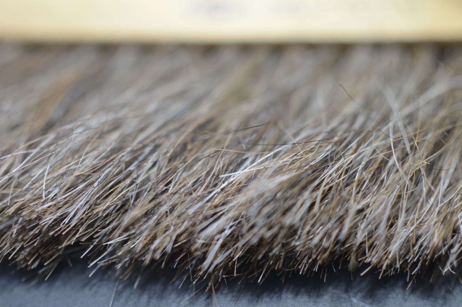 Nikon D3200 sample photo. Macro, brush for drawing photography