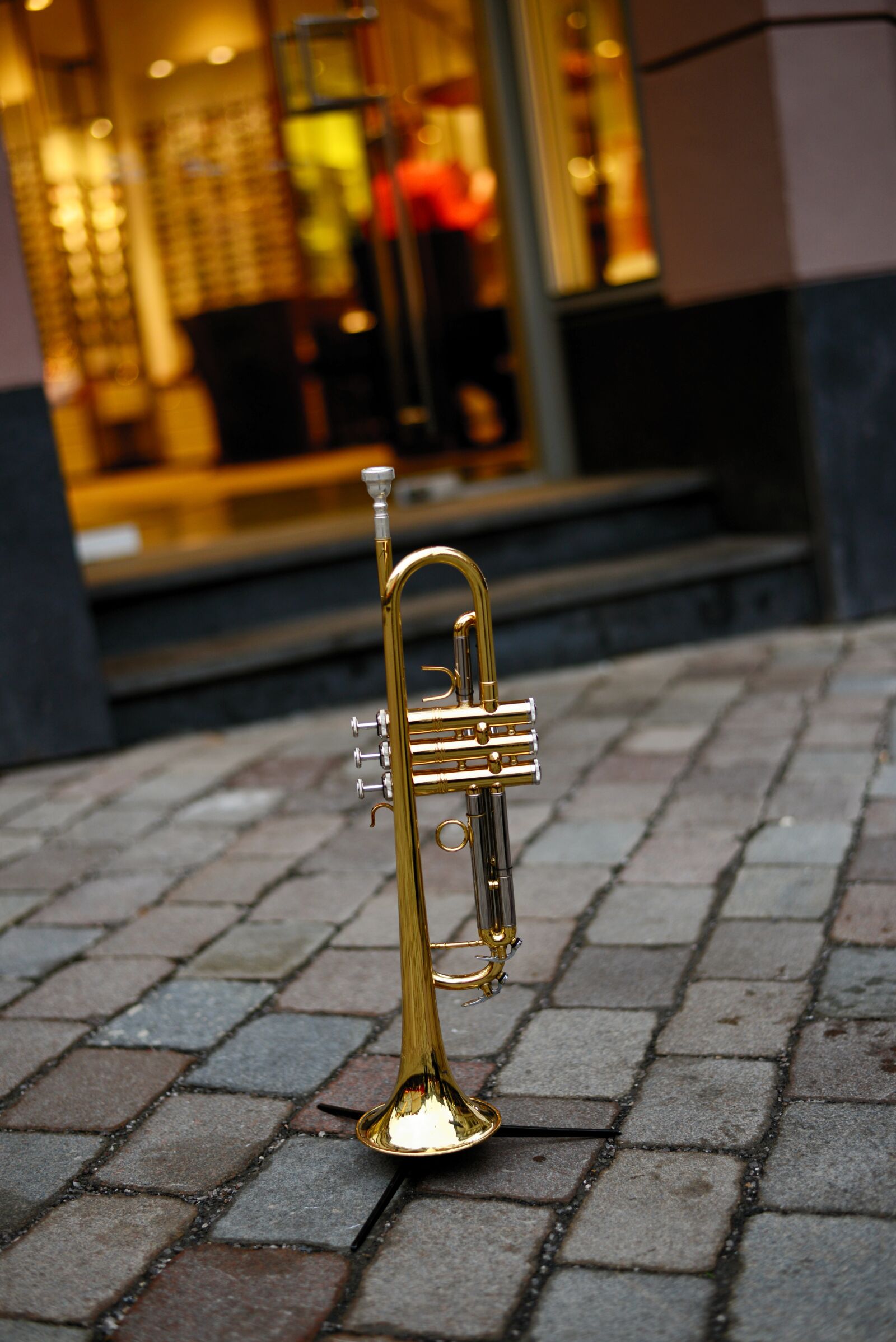 Nikon D610 sample photo. Trumpet, brass instrument, music photography