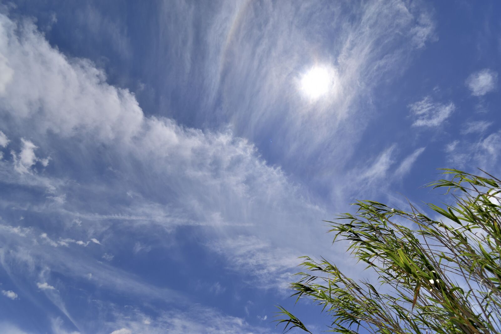 Nikon D5500 sample photo. Sky, clouds, climate photography