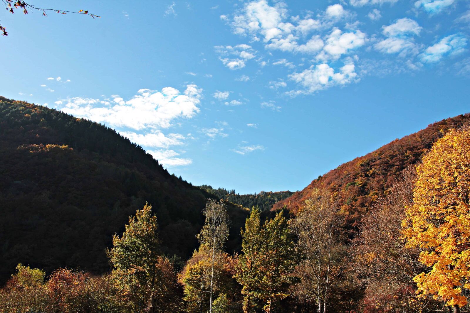 Canon EOS 550D (EOS Rebel T2i / EOS Kiss X4) sample photo. Nature, sky, wood, mountain photography
