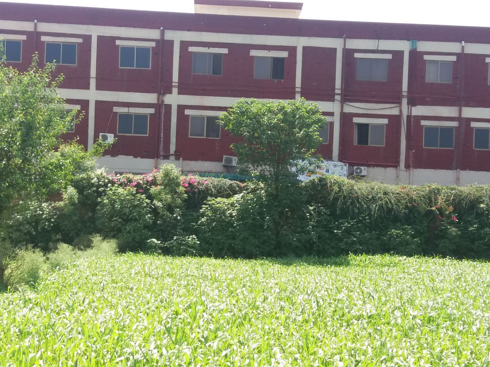 Samsung SM-J500H sample photo. Building, university, department photography