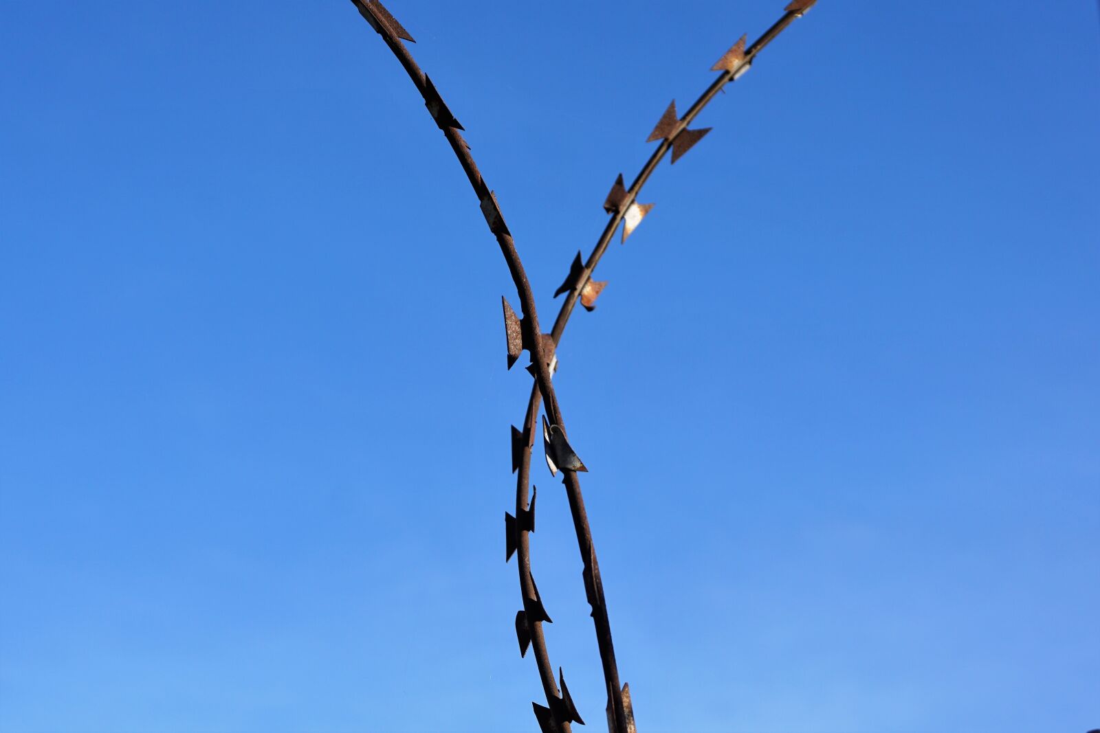 Sony a6000 sample photo. Lock wire, security, blue photography