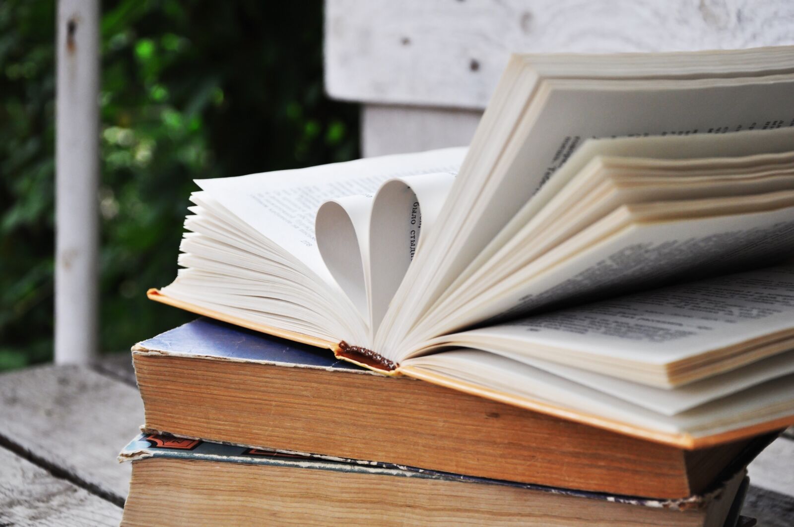 Nikon D5000 sample photo. Book, books, magazines photography