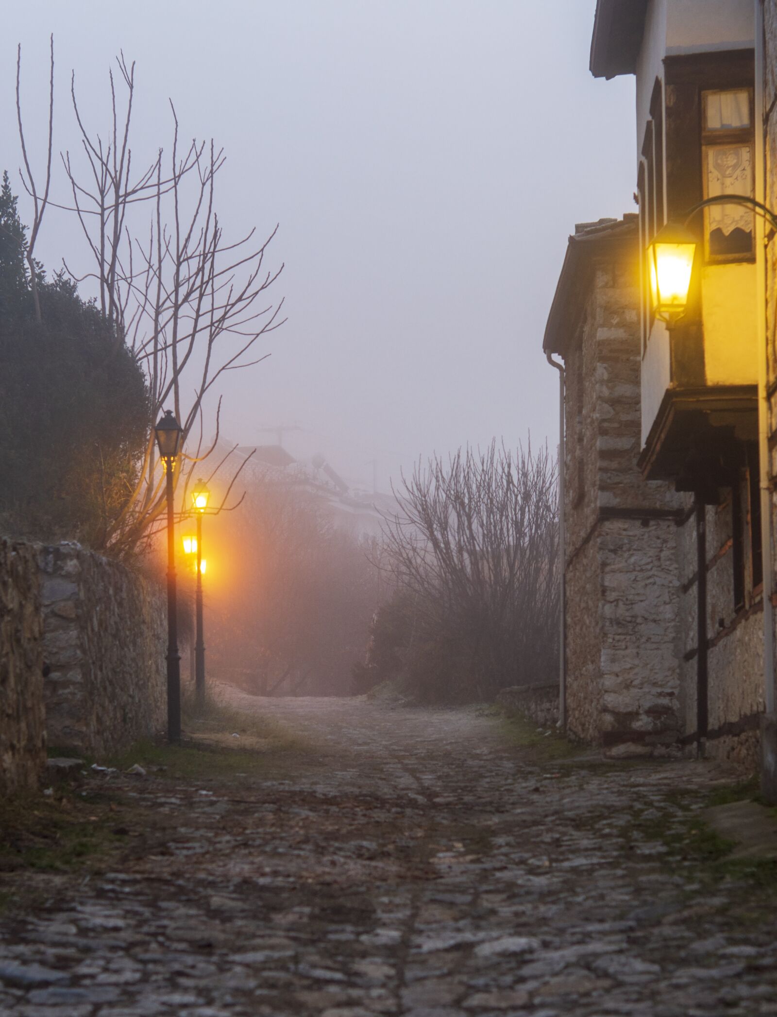Nikon D7200 sample photo. Fog, mist, magic photography