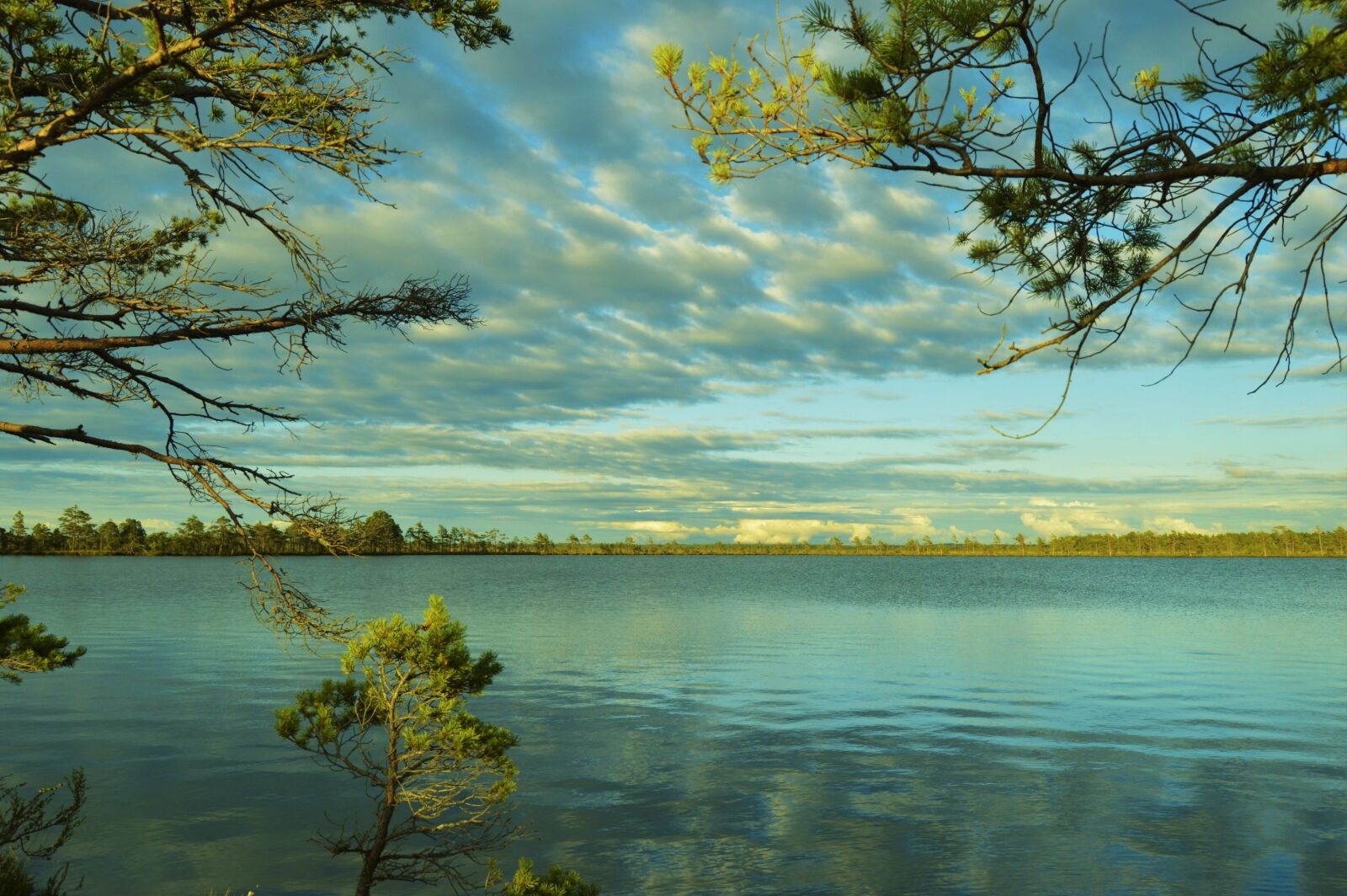 Nikon D3200 sample photo. Forest, lake, landscape, nature photography