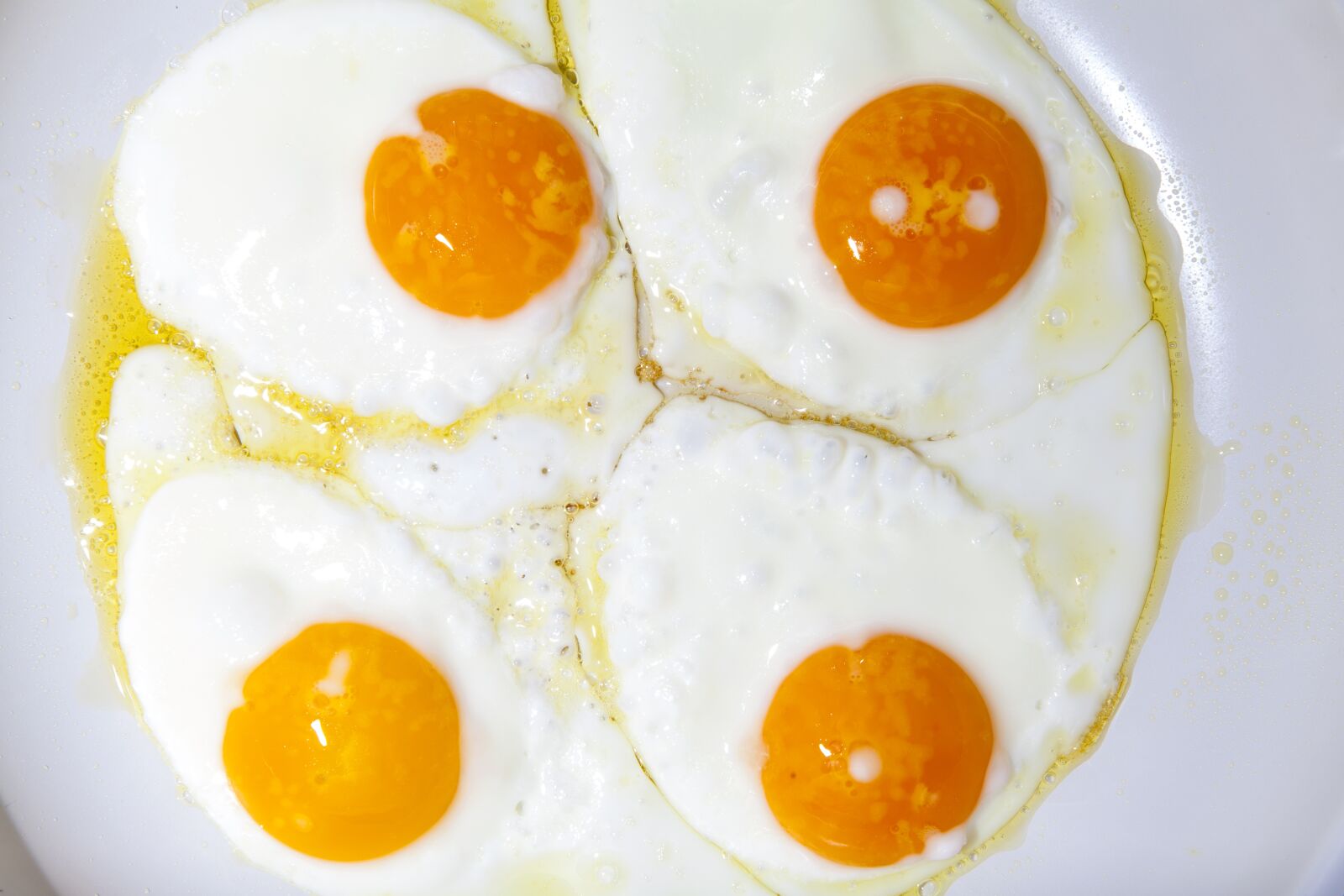 Canon EOS 5D Mark II sample photo. Pan, egg, protein photography