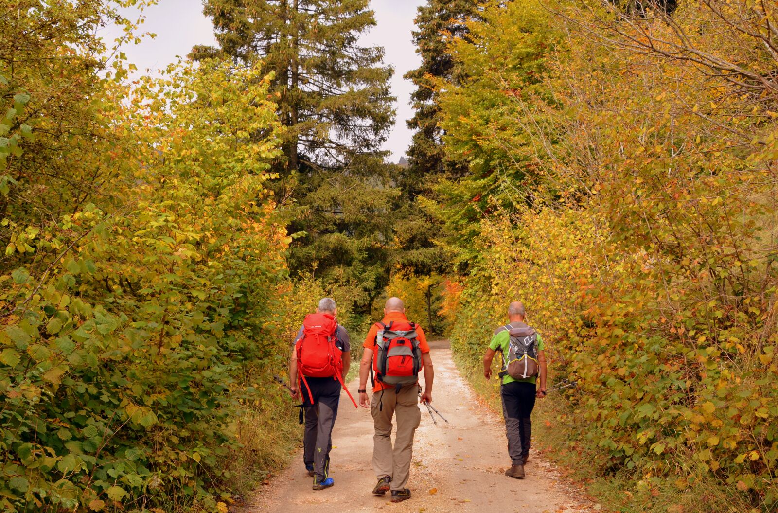 Nikon D7100 sample photo. Hiking, walk, autumn photography
