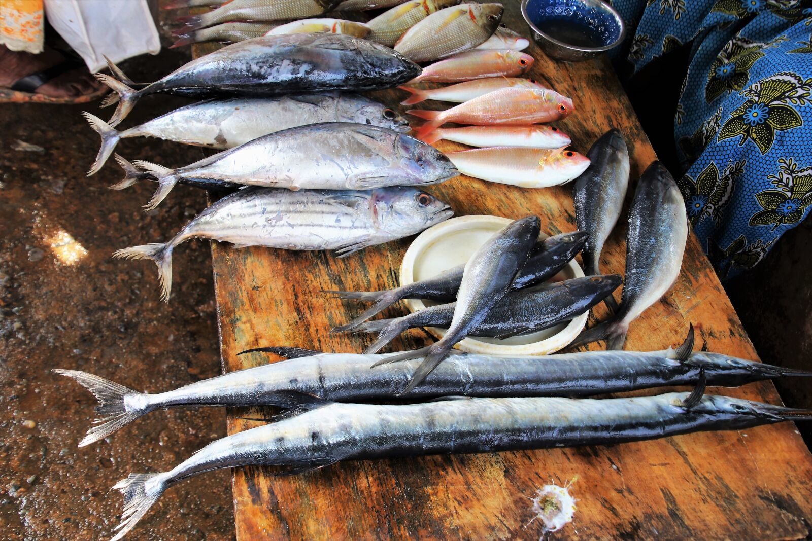 Canon EOS 80D sample photo. Fish, marine, fish market photography
