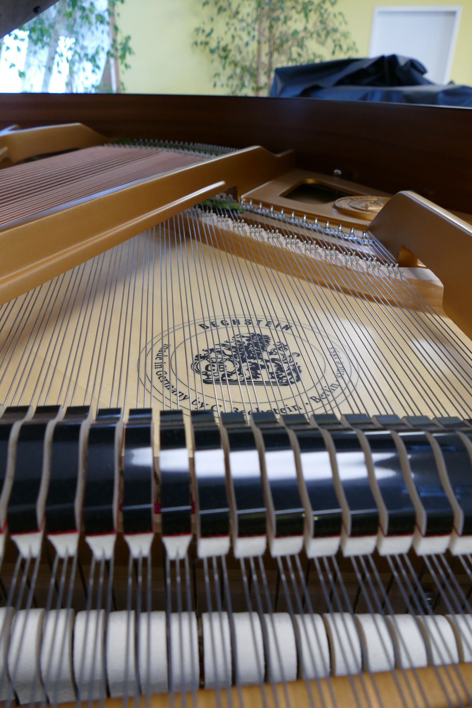 Panasonic Lumix DMC-FZ1000 sample photo. Wing, piano, bechstein photography