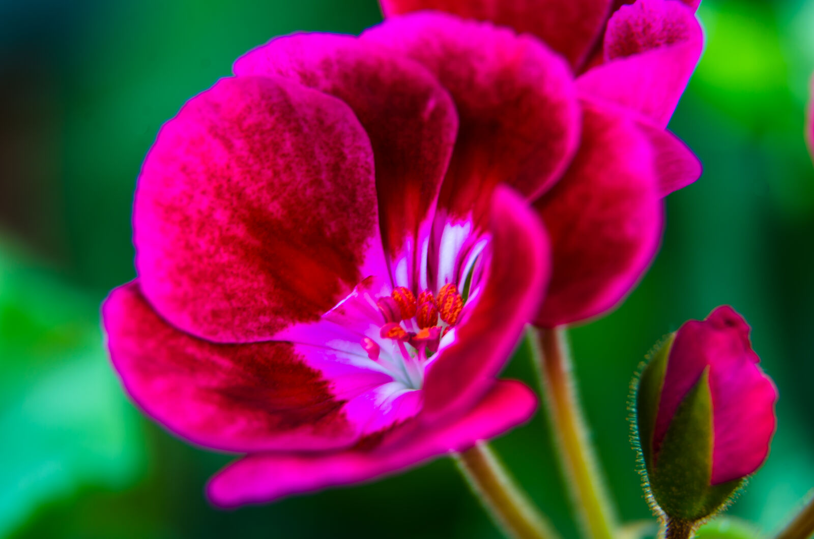 Nikon D5100 sample photo