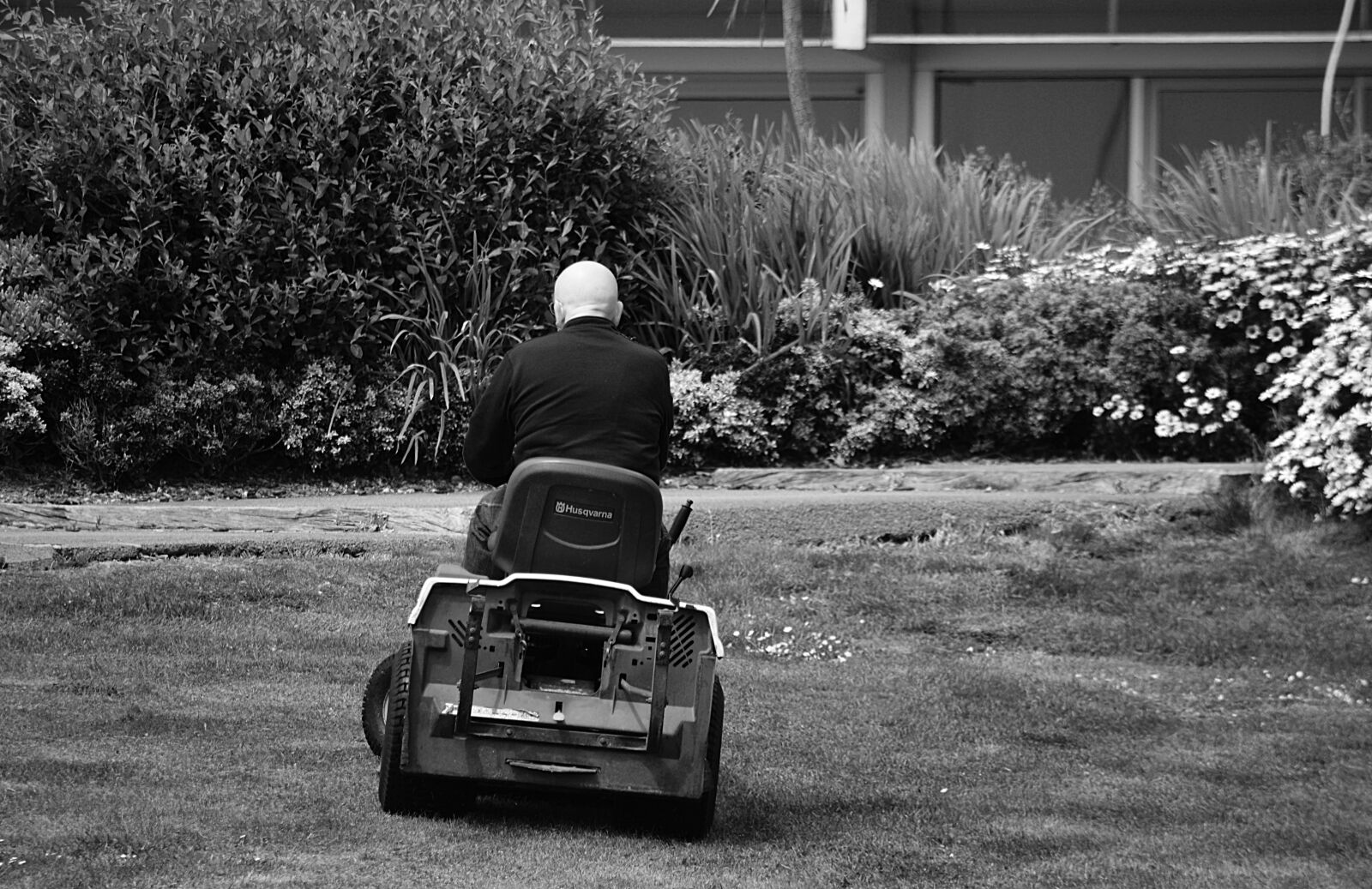 Nikon D5200 sample photo. Entretien, gazon, homme, jardin photography