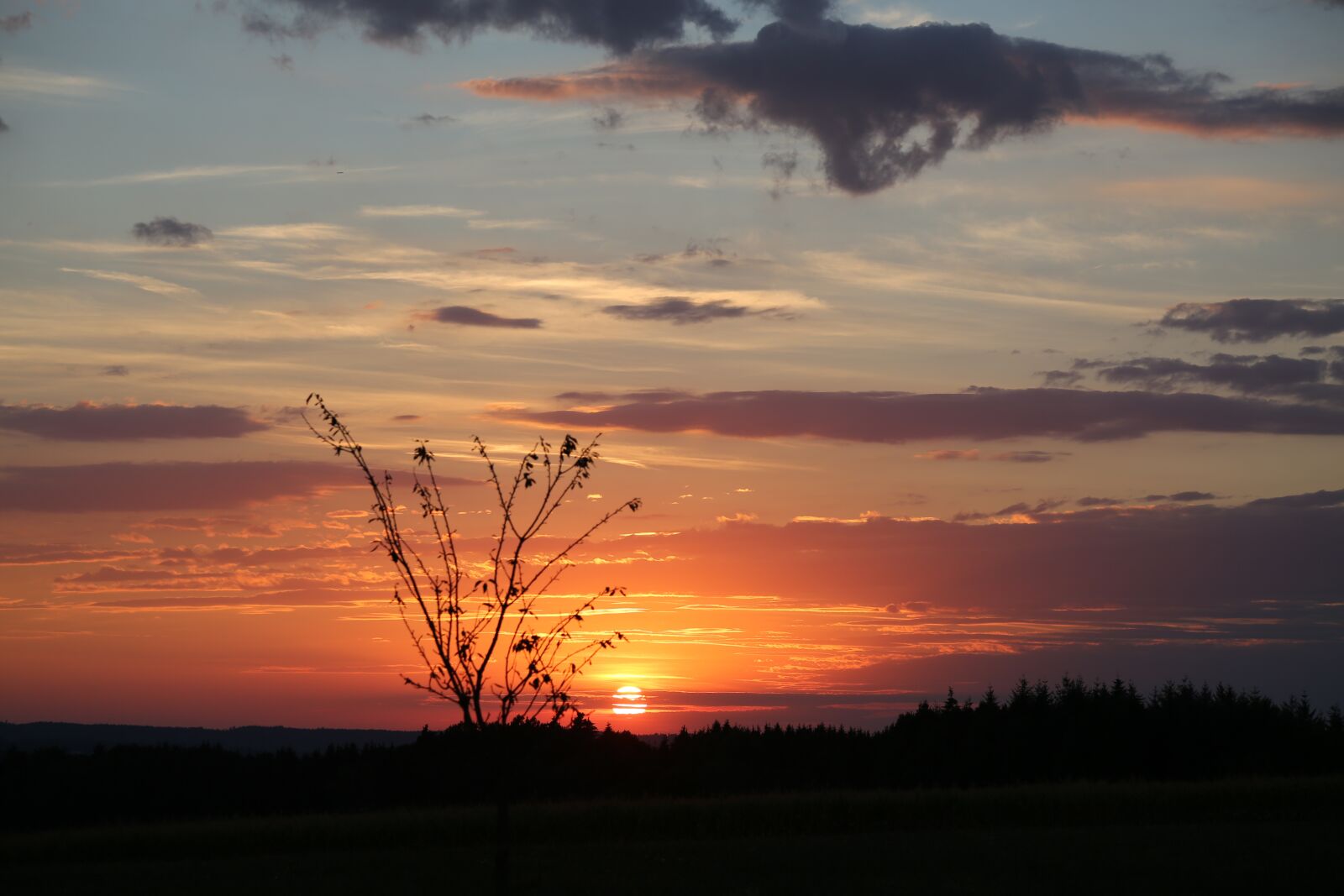 Canon EF 24-105mm F4L IS USM sample photo. Evening, sunset, sun photography