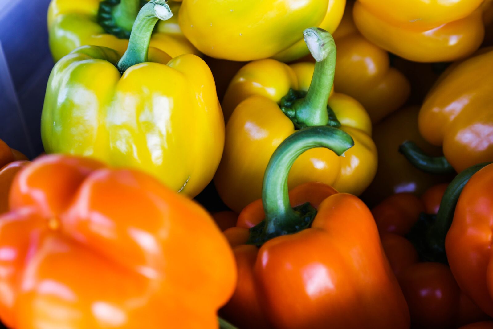Canon EF 24-105mm F4L IS USM sample photo. Agriculture, bell peppers, capsicum photography