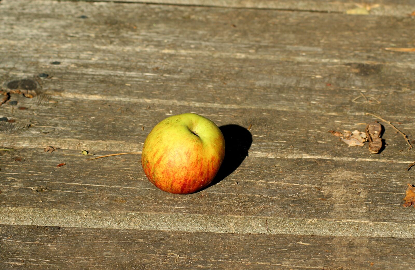 Canon EOS 1200D (EOS Rebel T5 / EOS Kiss X70 / EOS Hi) sample photo. Apple, fruit, collapse photography